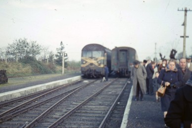 Scherpenheuvel -  11-1963 - DE RIDDER Firmin - Z29567.jpg